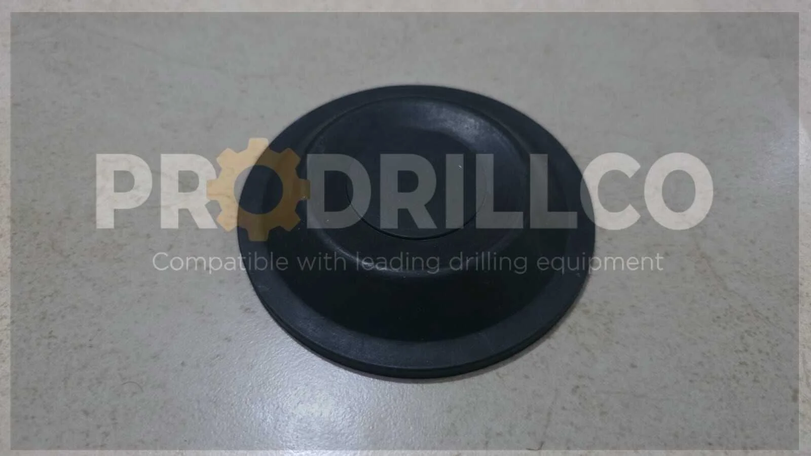 DIAPHRAGM - imagen 1